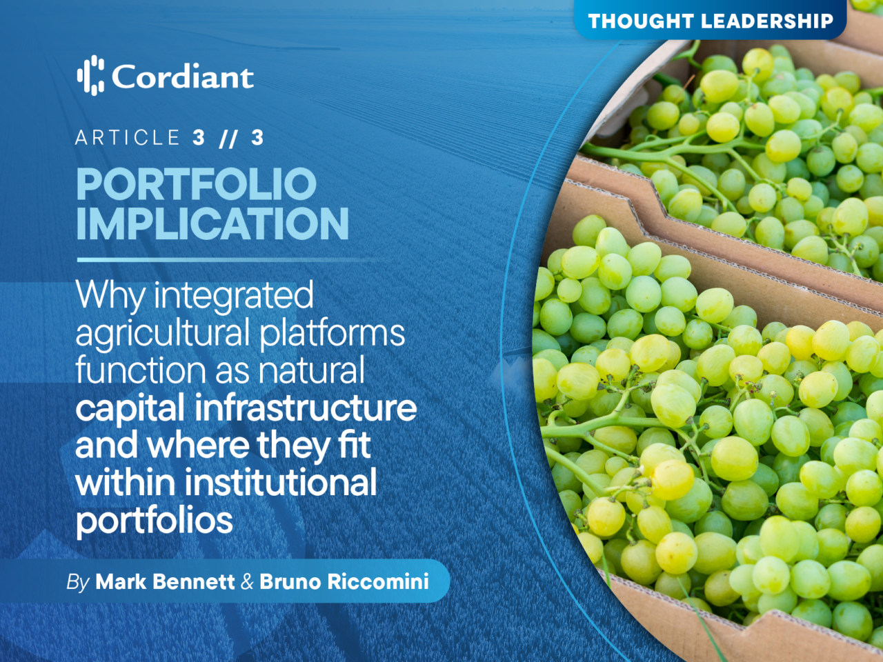 3 Cc Mb Permanent Crop